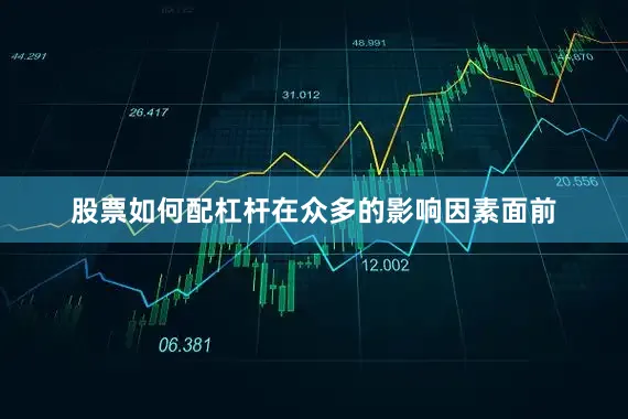 股票如何配杠杆在众多的影响因素面前